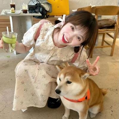 完美敌人